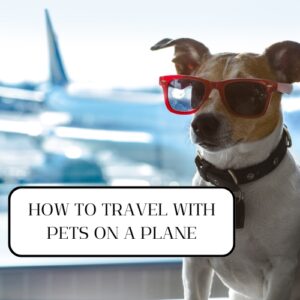 how-to-travel