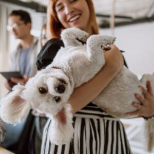 How to Plan a Pet-Friendly Vacation