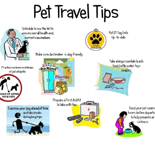 Pet Travel Safety Tips