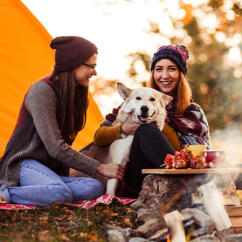 Tips for Taking Your Pet Camping