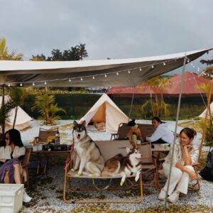 pet-friendly-camping-grounds